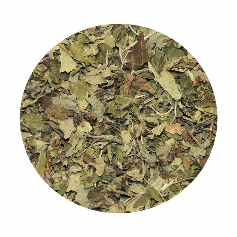 Citronmelisse