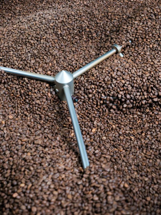 Ristede kaffebønner ligger i ristemaskinen