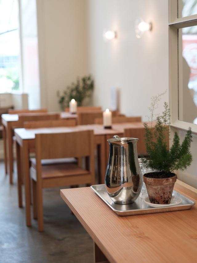 kande og plante på et bord i kaffehuset