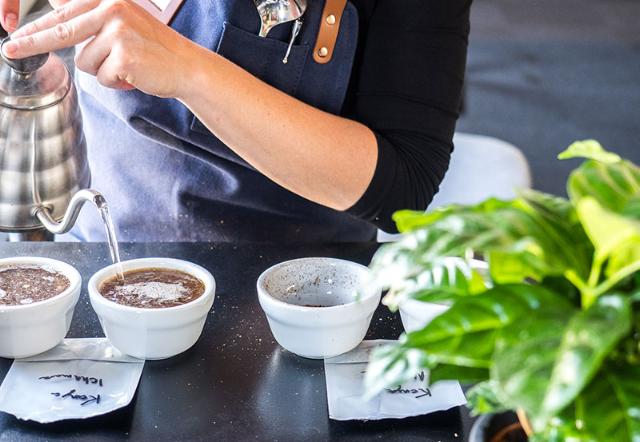 hælder vand i kop klar til kaffekursus