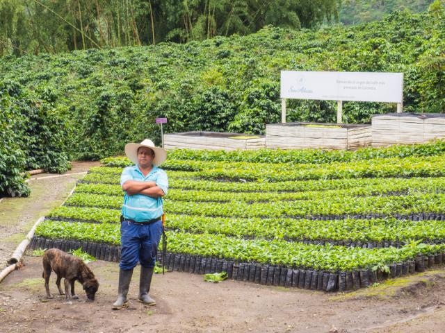 Farmer med sin hund står foran sine planter i colombia