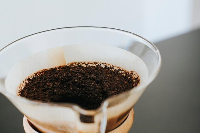 farmer i paraíso plukker gule kaffebønner