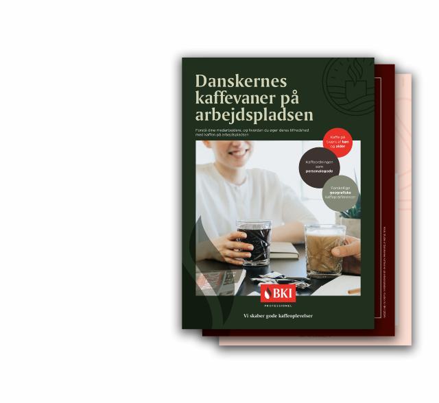 Billede af rapporten 