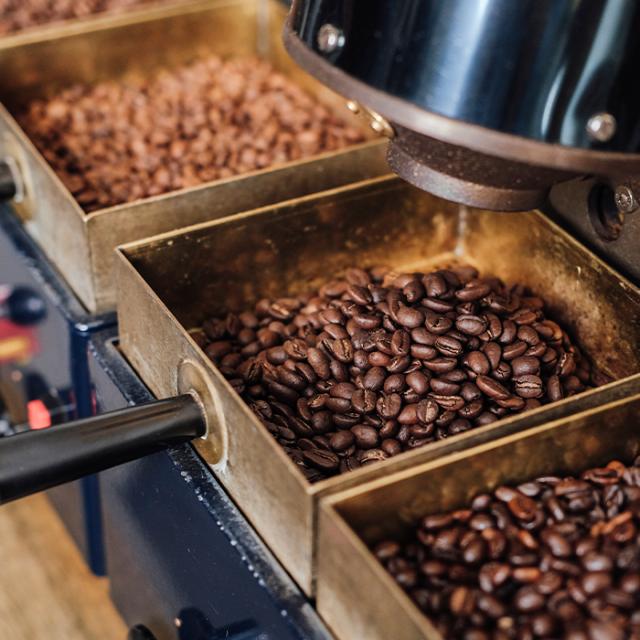 freshly roasted coffee beans at BKI full-service coffee supplier
