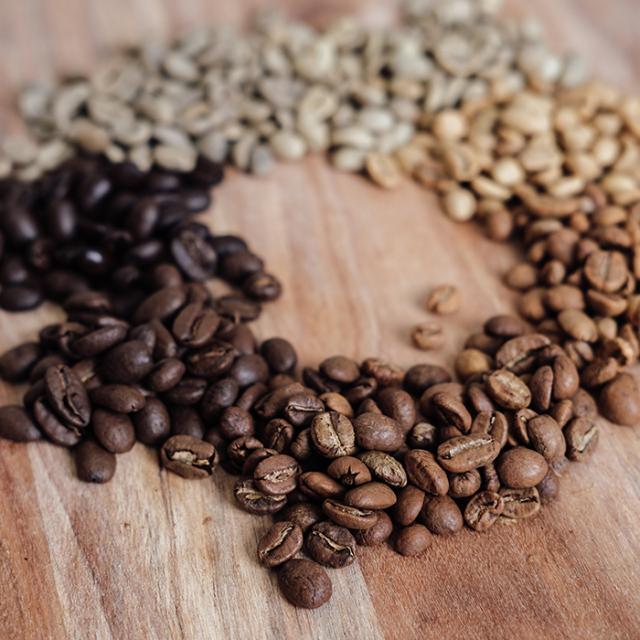 coffee beans at different roast levels