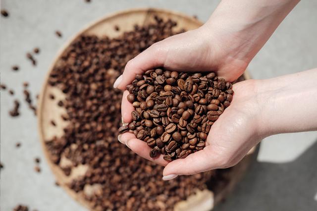 blanding af rene kaffebønner i hænder