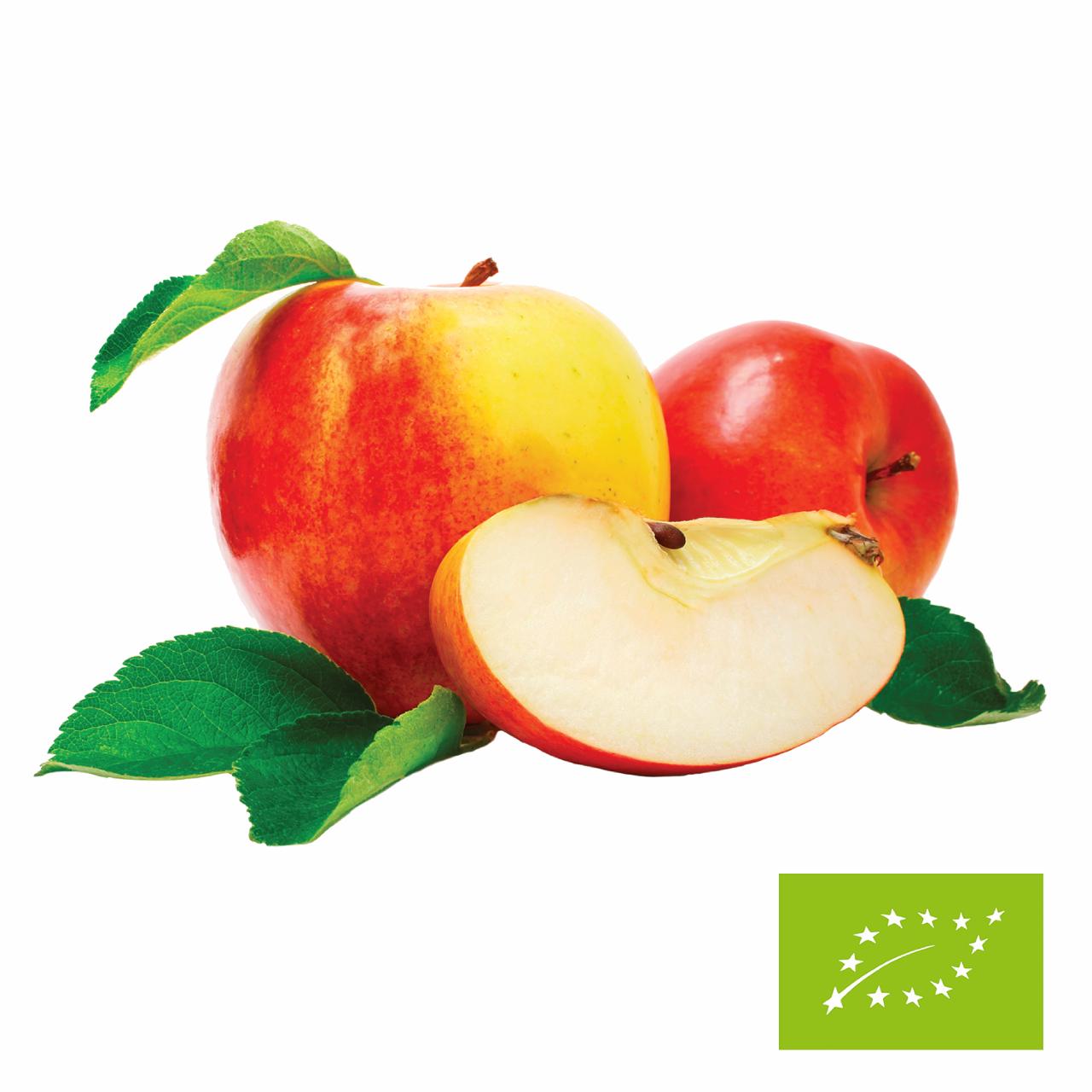 Æble koncentrat 1:5 Økologisk